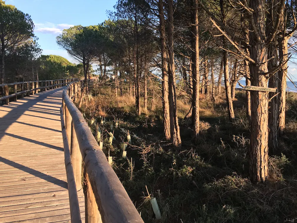 Ciclo pedolare a Bibione