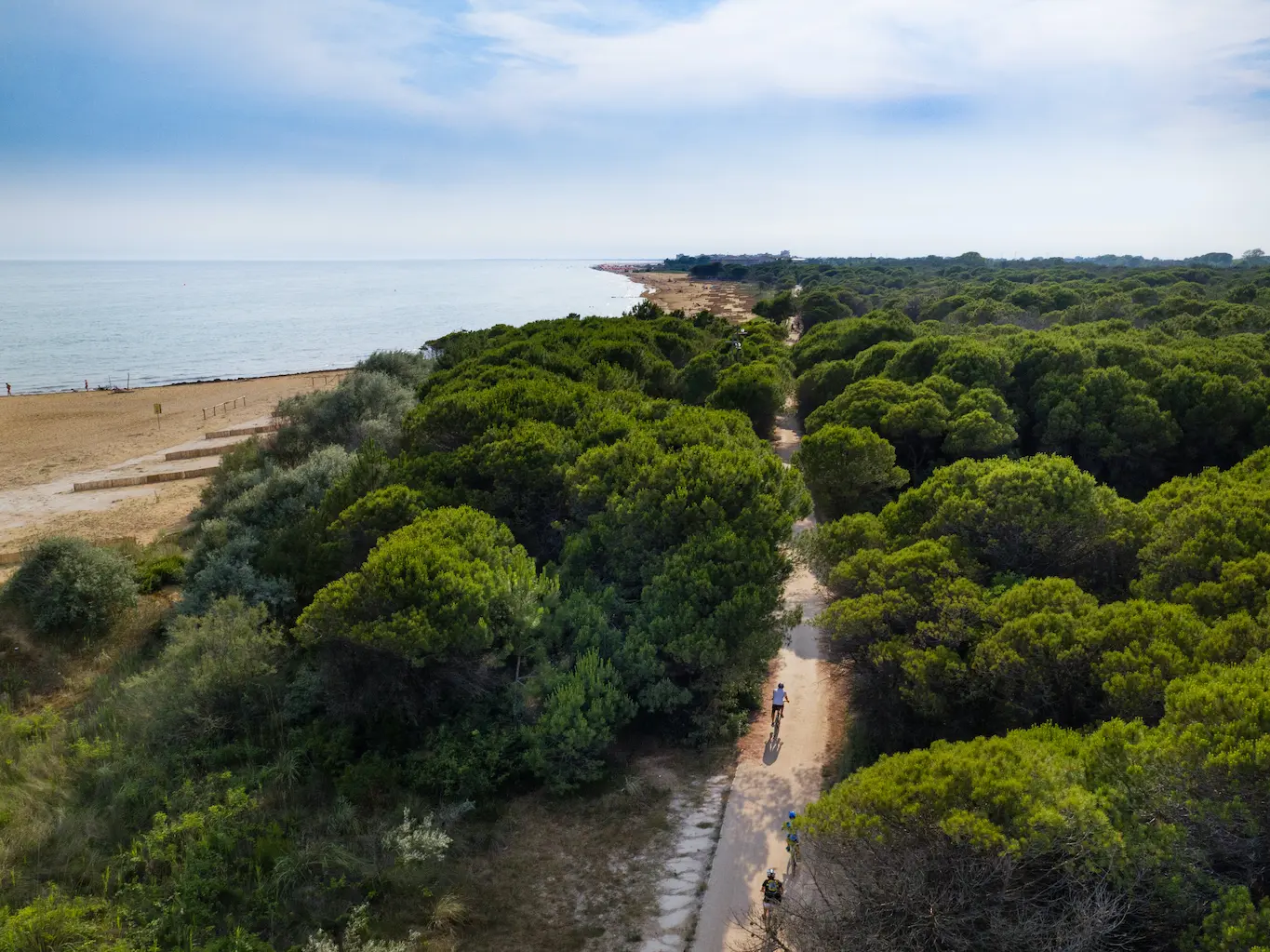 Vista aerea della pista ciclabile di Bibione immersa nel verde