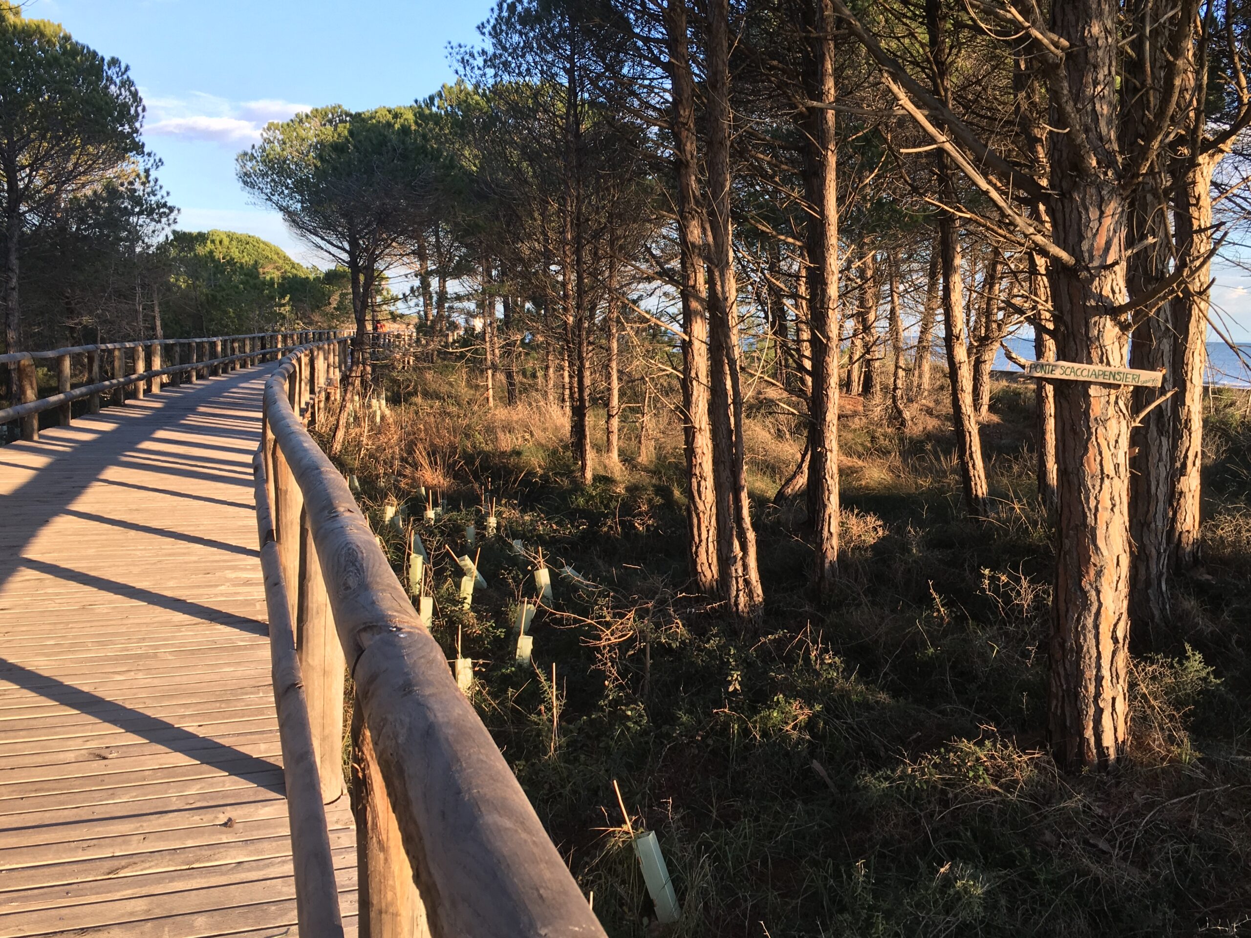 percorso ciclopedonale vicino alla spiaggia di Bibione